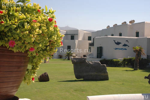 Holiday Sun Hotel 3